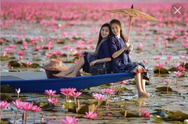 Arte digitale intitolato "39🌺 Lotus pond" da Flower Planet, Opera d'arte originale, Fotografia manipolata