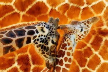 Digital Arts titled "Жирафы на рассвете" by Vasilij Mischenko, Original Artwork, 2D Digital Work