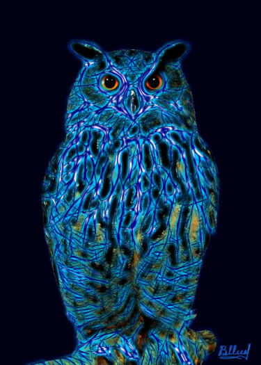 Цифровое искусство под названием "Мудрая сова" - Vasilij Mischenko, Подлинное произведение искусства, 2D Цифровая Работа