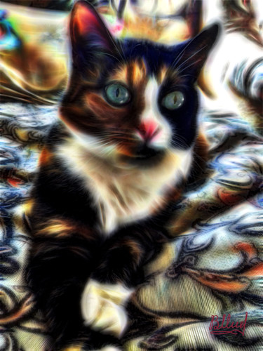 Цифровое искусство под названием "Кошка Марта" - Vasilij Mischenko, Подлинное произведение искусства, 2D Цифровая Работа