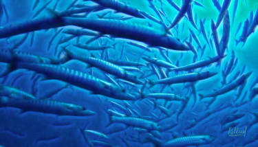 Цифровое искусство под названием "Подводный мир 005" - Vasilij Mischenko, Подлинное произведение искусства, 2D Цифровая Рабо…