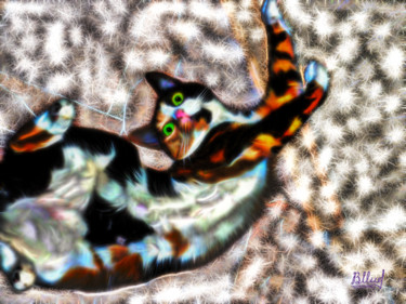 Цифровое искусство под названием "Кошка Марта 2" - Vasilij Mischenko, Подлинное произведение искусства, 2D Цифровая Работа