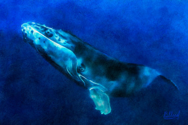 Цифровое искусство под названием "Одинокий Синий кит" - Vasilij Mischenko, Подлинное произведение искусства, 2D Цифровая Раб…