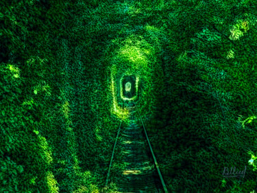 Digital Arts titled "Зеленый туннель" by Vasilij Mischenko, Original Artwork, 2D Digital Work
