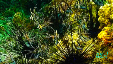 Digital Arts titled "Подводный мир 019" by Vasilij Mischenko, Original Artwork, 2D Digital Work