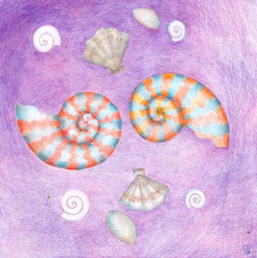 Disegno intitolato "Sky shells" da Farida Ritorno, Opera d'arte originale, Matita