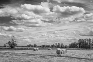 Fotografie mit dem Titel "Landschaft bei Schl…" von Folker Reinhold Peter Pritsch, Original-Kunstwerk, Digitale Fotografie