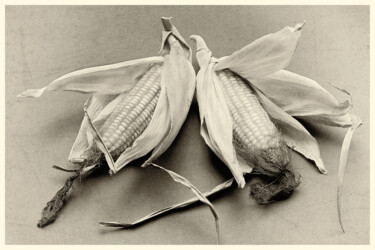 Fotografie mit dem Titel "Stillleben mit Mais…" von Folker Reinhold Peter Pritsch, Original-Kunstwerk, Digitale Fotografie