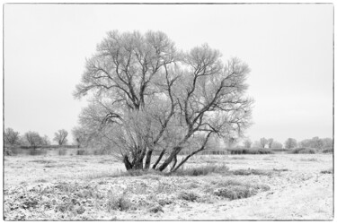 Photographie intitulée "Winterlandschaft an…" par Folker Reinhold Peter Pritsch, Œuvre d'art originale, Photographie numériq…