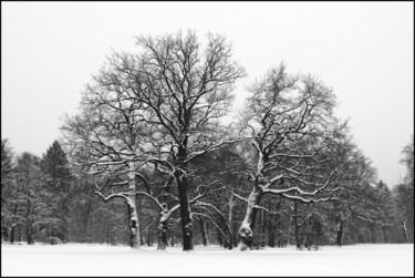 Fotografia intitolato "Winter im Park" da Folker Reinhold Peter Pritsch, Opera d'arte originale, Fotografia digitale