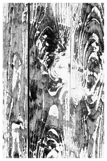 Fotografie mit dem Titel "Verwitterte Tür" von Folker Reinhold Peter Pritsch, Original-Kunstwerk, Digitale Fotografie