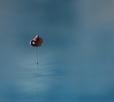 Фотография под названием "équilibre" - Jean-Charles Folliet, Подлинное произведение искусства, Цифровая фотография Установле…