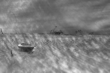 Photography titled "à fleur d'eau" by Jean-Charles Folliet, Original Artwork, Digital Photography Mounted on Aluminium