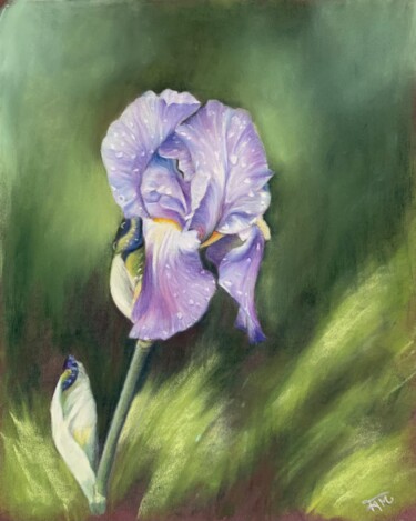 Dessin intitulée ""Iris"" par Fam, Œuvre d'art originale, Pastel