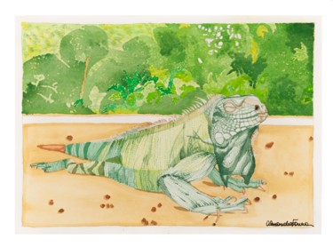 Pintura intitulada "Iguana" por Alessandra Fonseca, Obras de arte originais, Aquarela