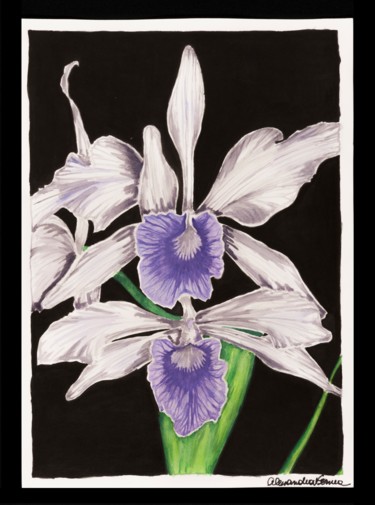 Pintura intitulada "Orquídea Lilás" por Alessandra Fonseca, Obras de arte originais, Aquarela