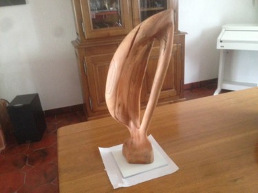Sculpture titled "abstrait.jpg" by Forcadolmu, Original Artwork, Wood