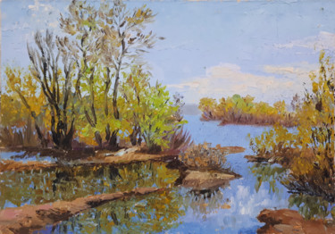 Картина под названием "Река Самарка" - Елена Малахова, Подлинное произведение искусства, Масло Установлен на картон