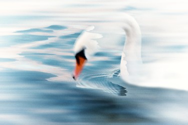 "un-amour-de-swann" başlıklı Fotoğraf George Emil Odthermat tarafından, Orijinal sanat