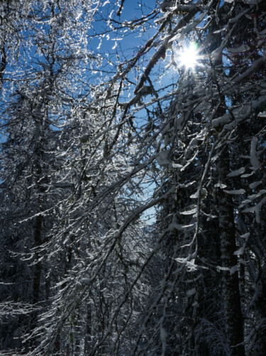 Photographie intitulée "Lumière de l'hiver" par Florence Pouget-Landrieu, Œuvre d'art originale, Photographie numérique