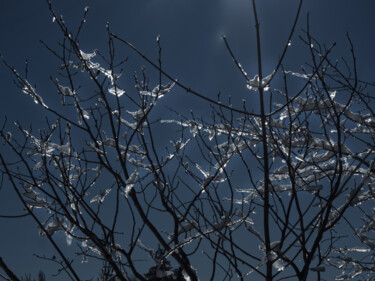 Photographie intitulée "Branches glacées 2" par Florence Pouget-Landrieu, Œuvre d'art originale, Photographie numérique