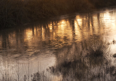 Photographie intitulée "Reflets sur la Loire" par Florence Pouget-Landrieu, Œuvre d'art originale, Photographie numérique