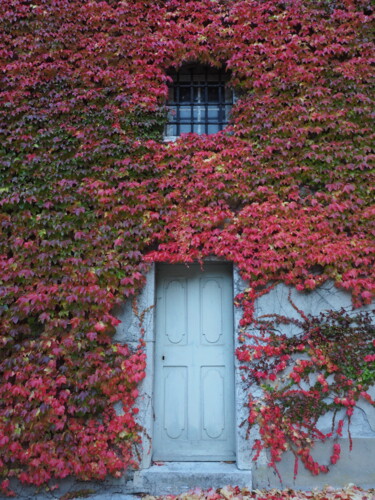 Photographie intitulée "Quand l'automne env…" par Florence Pouget-Landrieu, Œuvre d'art originale, Photographie numérique