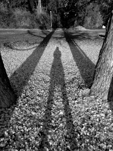 Photographie intitulée "Silhouette 3" par Florence Pouget-Landrieu, Œuvre d'art originale, Photographie numérique