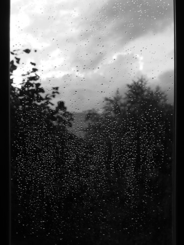 Photographie intitulée "Après la pluie" par Florence Pouget-Landrieu, Œuvre d'art originale, Photographie numérique