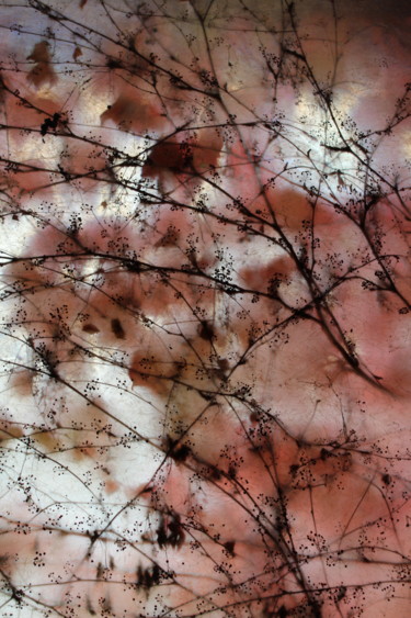 Fotografia intitolato "Spring" da Francesca Guarnieri, Opera d'arte originale, Fotografia digitale