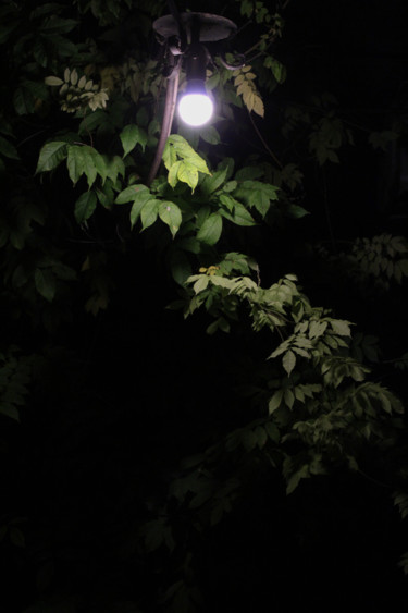 Fotografia intitolato "Night" da Francesca Guarnieri, Opera d'arte originale, Fotografia digitale