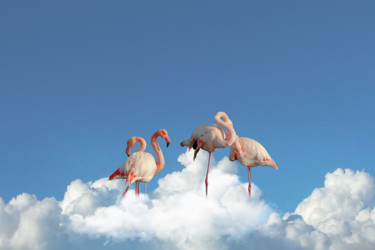 Arte digitale intitolato "Flamingos" da Francesca Guarnieri, Opera d'arte originale, Fotomontaggio