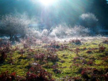 Fotografie getiteld "freddo mattino" door Franceben (Francesco B Croce), Origineel Kunstwerk