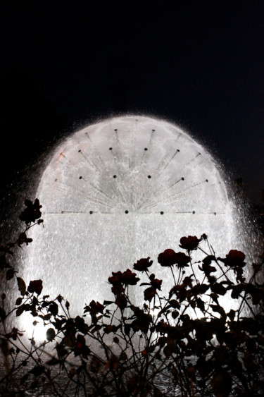 Fotografia intitolato "idro-luminescenze-n…" da Francesca Camisasca, Opera d'arte originale, Fotografia digitale