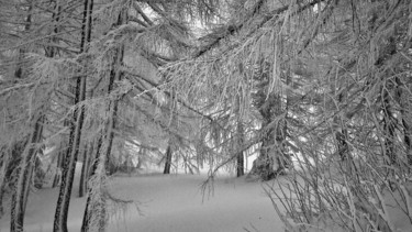 Fotografia intitulada "neve 2" por Francesca Fedeli, Obras de arte originais