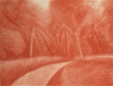 Drawing titled "Bosco 1-Wood 1" by Francesco Cagnato, Original Artwork, Charcoal