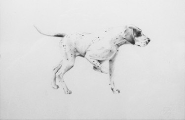 Disegno intitolato "Cane da caccia" da Francesco Cagnato, Opera d'arte originale, Matita Montato su Cartone