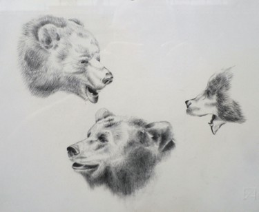 Dessin intitulée "Teste d'orso" par Francesco Cagnato, Œuvre d'art originale, Crayon Monté sur Carton