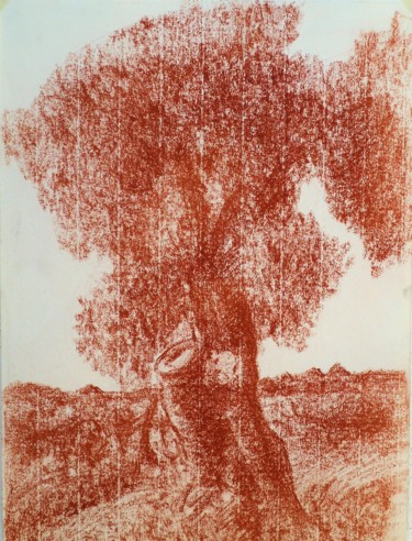 Drawing titled "L'olivo 2-The olive…" by Francesco Cagnato, Original Artwork, Charcoal Mounted on Cardboard