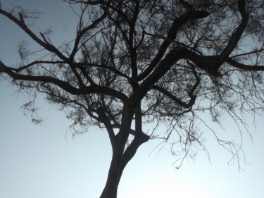 Fotografia intitolato "Inner tree" da F. Peña-Garcia, Opera d'arte originale, Fotografia digitale