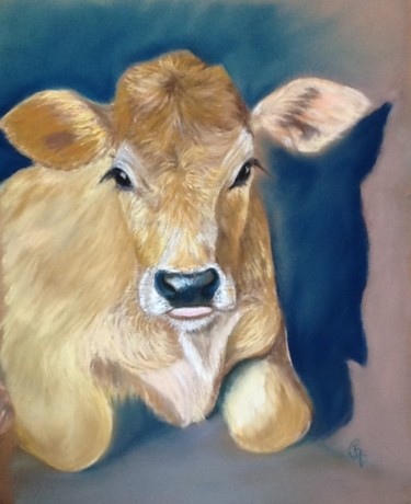 Drawing titled "Petit veau de Manap…" by Francette Guittard, Original Artwork, Pastel