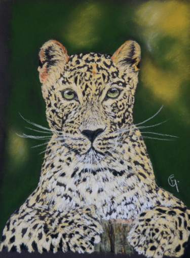 Drawing titled "Léopard du Bengale" by Francette Guittard, Original Artwork, Pastel