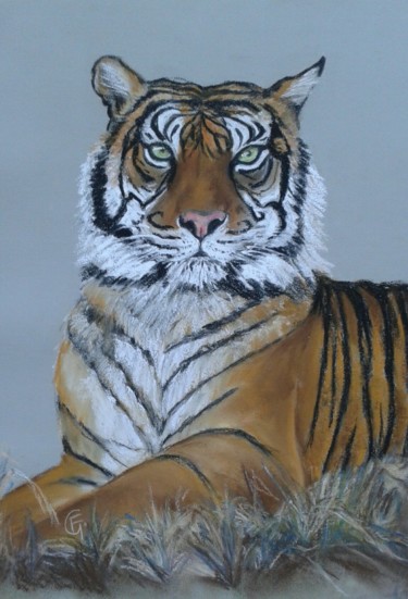 Dessin intitulée "Tigre au Zoo" par Francette Guittard, Œuvre d'art originale, Pastel