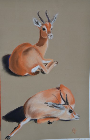 Drawing titled "Gazelles au zoo" by Francette Guittard, Original Artwork, Pastel