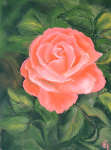 Dessin intitulée "rose "Catherine Den…" par Francette Guittard, Œuvre d'art originale, Pastel