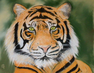 Drawing titled "Tigre du Bengale" by Francette Guittard, Original Artwork, Pastel Mounted on Glass
