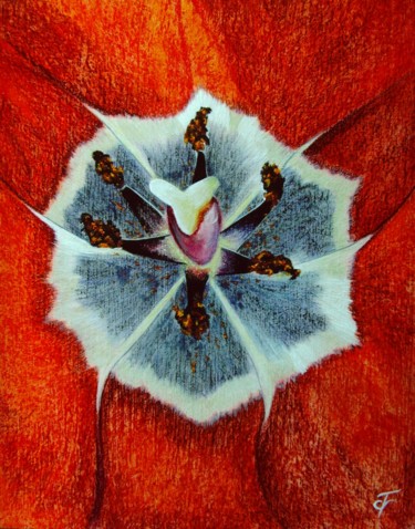 Peinture intitulée "Coeur de tulipe.jpg" par Francine Quié, Œuvre d'art originale, Autre
