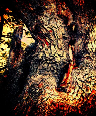 Fotografía titulada "Ghostly spirit tree…" por Francis Edwin Roe Jr Frank Or Frankie, Obra de arte original, Fotografía digi…