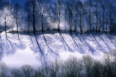 Photographie intitulée "hiver-008.jpg" par Francis Alleyrangue, Œuvre d'art originale