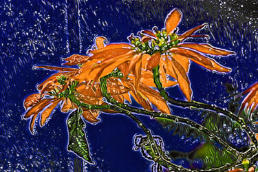 Arte digital titulada "Flor de navidad" por Francisco Lopez Bermudez, Obra de arte original, Pintura Digital
